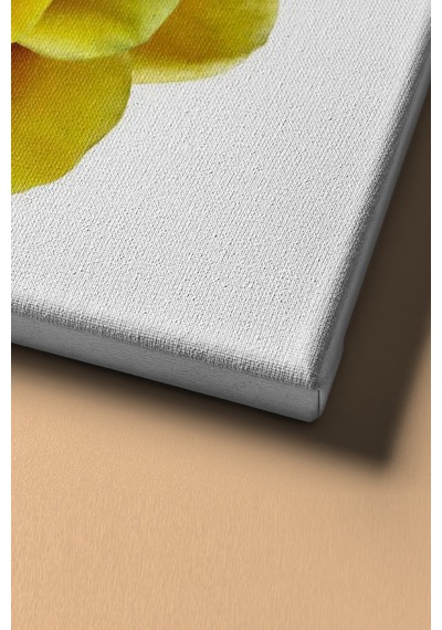 Webstyle Sayılarla Boyama Seti Kasnaklı Sarı Gül 50 X 65 Cm