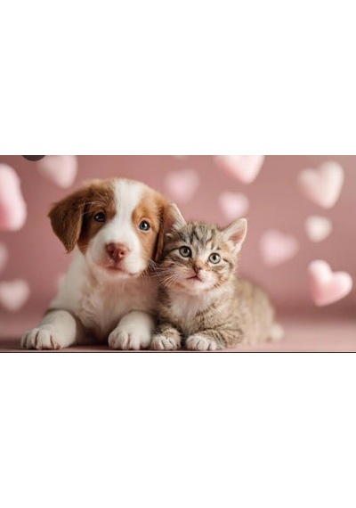 Kedi Ve Köpek Evcil Hayvan İçin Parfümlü Dışkı Kusmuk Leke Sökücü Sprey