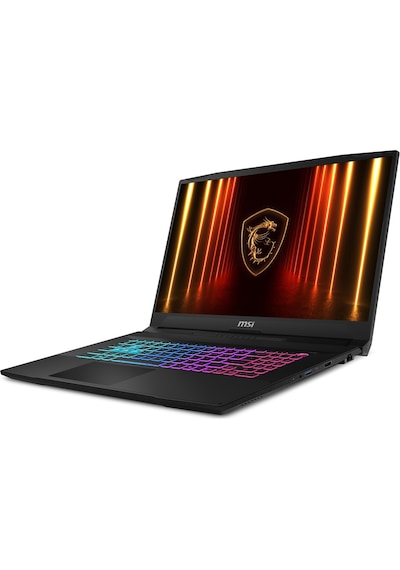 MSI KATANA 17 HX B14WGK-285XTR i7-14650HX 16 GB 1 TB SSD RTX5070 17.3" Dos Dizüstü Bilgisayar 