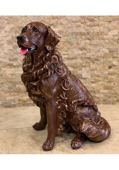 By Ari Golden Köpek Bd318-2 Diğer