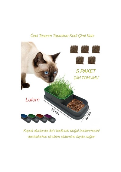 Özel Tasarım Topraksız Kedi Çimi Kabı Hidroponik Sistem Doğal Lif Çim Tohumu Yer Kaplamaz 25x10 Cm