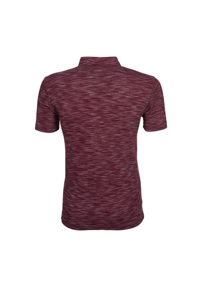 AR-MA Arma Erkek Regular Fit Polo Yaka Tişört Y9tyo7886 001