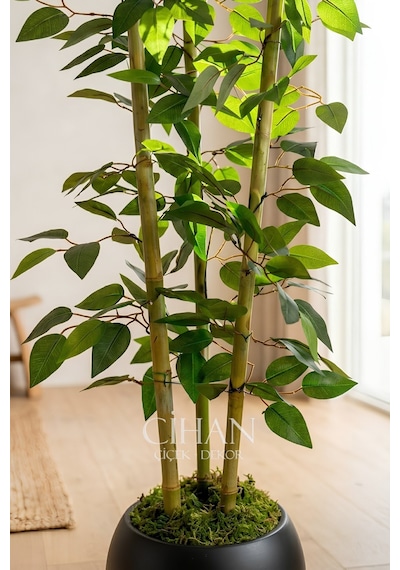 Yapay 3 Bambulu Benjamin Ağacı 110 Cm - 27 33 Siyah Küre Saksılı Beyaz