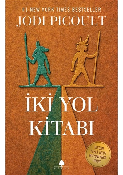 İki Yol Kitabı / Jodi Picoult