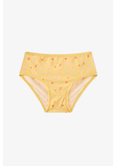 Penti Kız Çocuk Cool 3lü Slip Çok Renkli