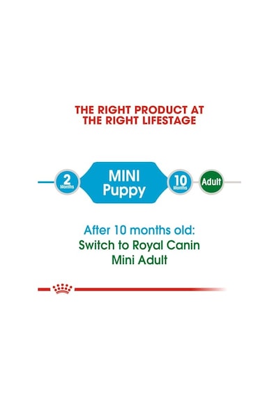 Royal Canin-mini Puppy Köpek Sı 2 Kg