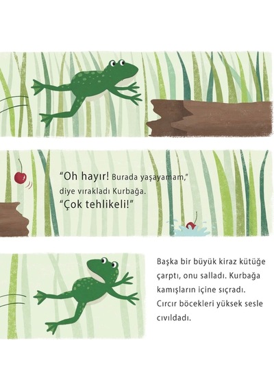 Kurbağa'nın Yaz Yolculuğu