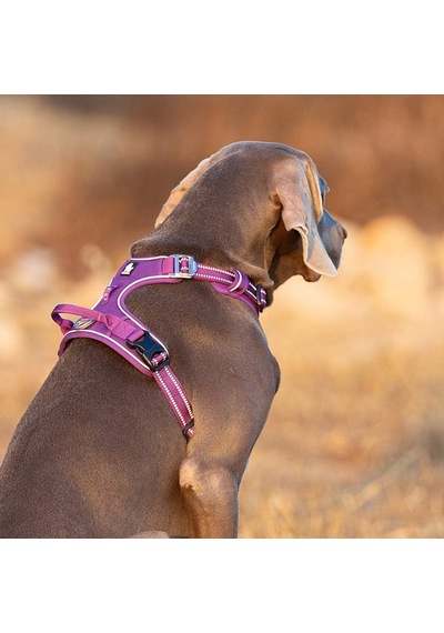 Köpek Koşum Takımı, Çekmez, Ayarlanabilir, Yansıtıcı, Yumuşak Naylon, Küçük Ve Büyük Evcil Hayvanlar İçin, Tlh56512 S, Mor