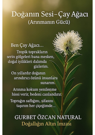 Çay Ağacı Yağı %100 Saf Doğal Seyreltilmemiş Tea Tree Oil 10ml