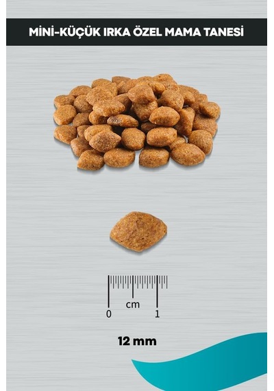 Signature Kuzulu Yetişkin Köpek Küçük Irk - 12 Kg