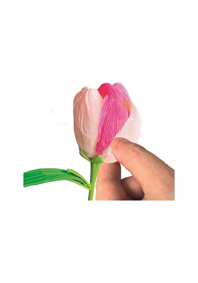 Idea Clemetoni - Çiçek Tasarıım Seti - Lale