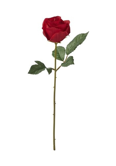 Ikea Smycka Yapay Çiçek, Kırmızı, 40 Cm, İç/dış Mekan Yıldız Çiçeği