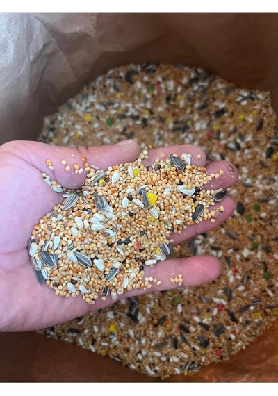 Sultan Papağanı Pareket Yemi 1 Kg