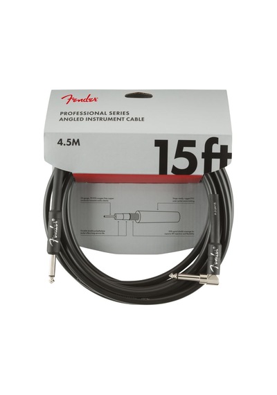 Fender Professional Inst Sa 15