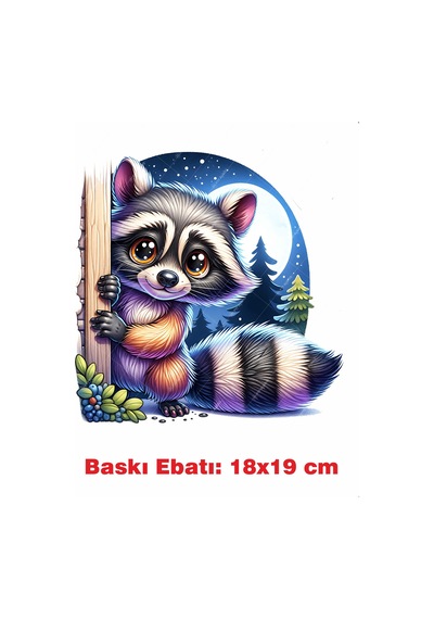 Rakun Ütü İle Yapışan Tekstil Kumaş Tişört Dtf Baskı 3612