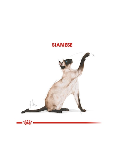 Royal Canin Siamese 38 Yetişkin Kedi Maması 2 KG