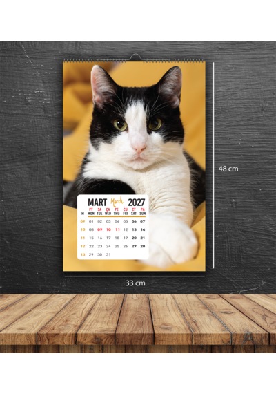 2027 Kedi Duvar Takvimi 33x48 Cm Ebat-12 Sayfa Beyaz