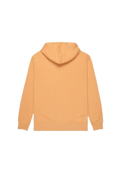 Quıksılver Quiksilver Salt Water Hoodie Erkek Yeşil Sweatshirt 33 Haki