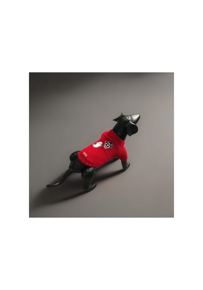 Kedi Ve Köpek İçin Kırmızı Cadılar Bayramı Kazağı