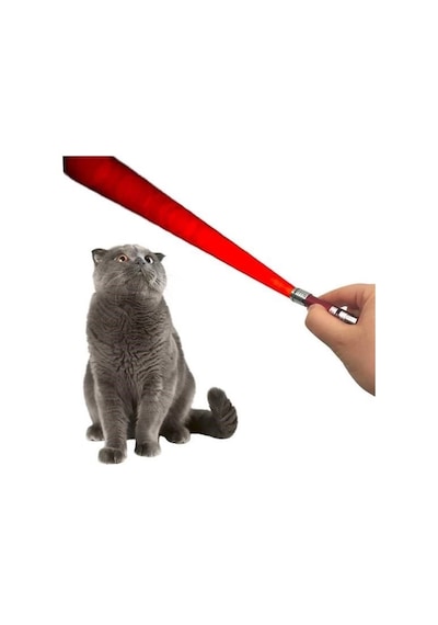 3 Fonksiyonlu Kırmızı Beyaz Işıklı Led Lazer Kedi Köpek Oyuncak Anahtarlık - 1 Adet Stokta Olan Renk Gönderilir Çok Renkli