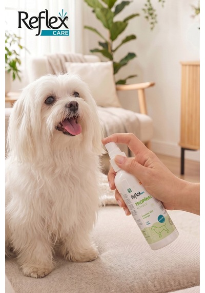 Reflex Care Tropikal Kokulu Köpek Kolonyası 125 Ml