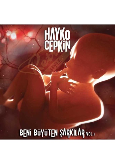 Hayko Cepkin - Beni Büyüten Şarkılar. 33'Lük Plak. LP