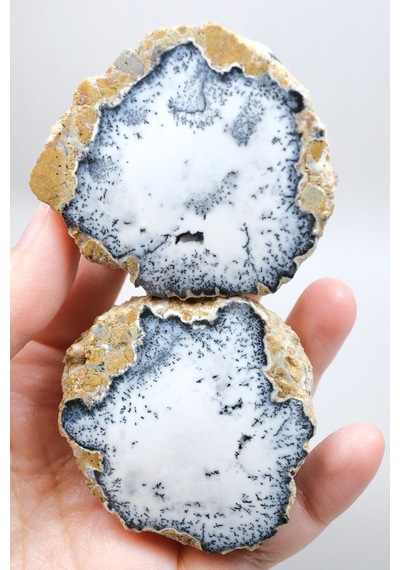 Dendritik Simya: Merlinit Dendritik Opal - Cilalı Çift