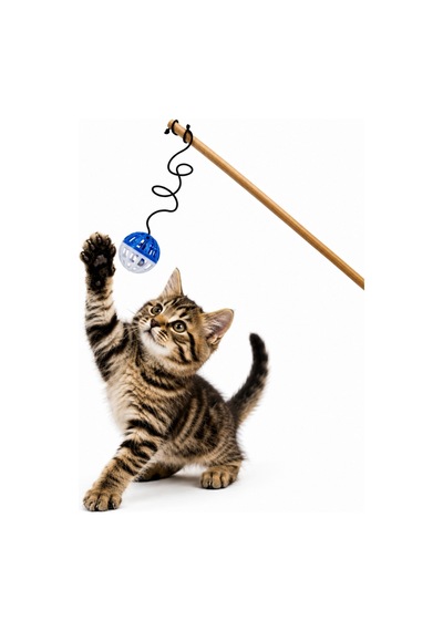 Kedi Oltası - Dawcat - Plastik Toplu - Beyaz/mavi