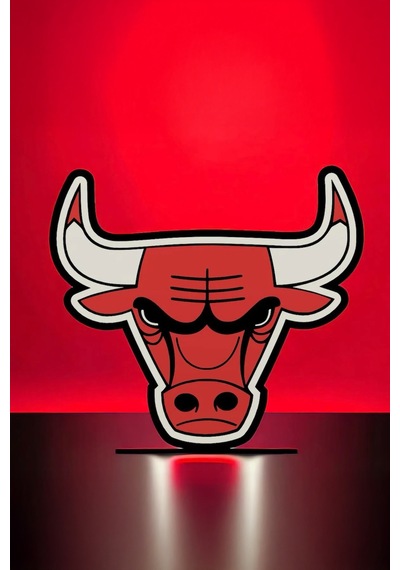 Chicago Bulls Dekoratif Aydınlatma Led Gece Lambası Çok Renkli