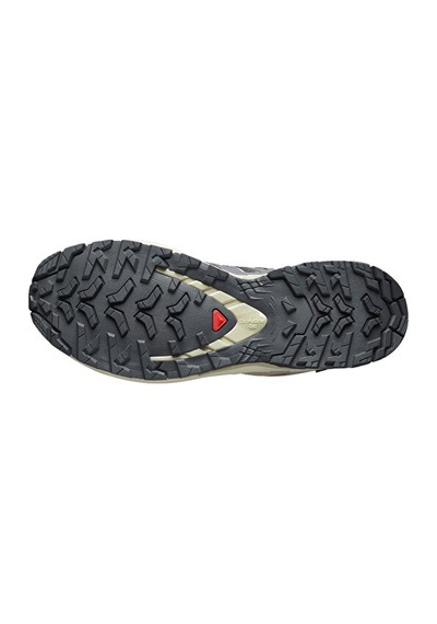 Salomon Xa Pro 3d V9 Gore Tex Kadın Outdoor Ayakkabısı L47744700 Mor Mor