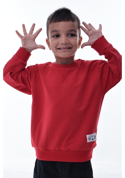 Erkek Çocuk Kırmızı Sweatshirt %100 Pamuk, Yumuşak Kumaş, Rahat Kalıp, Günlük Spor Stil Kırmızı Erkek Çocuk Kırmızı Sweatshirt %100 Pamuk, Yumuşak Kumaş, Rahat Kalıp, Günlük Spor Stil Kırmızı