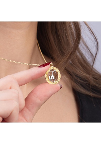 Koç Burç Altın Charm 2,80 Gr-6485