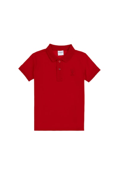 U.S. Polo Assn. Erkek Çocuk Kırmızı Basic Polo Yaka Tişört 50298049-VR030 U.S. Polo Assn. Erkek Çocuk Kırmızı Basic Polo Yaka Tişört 50298049-VR030