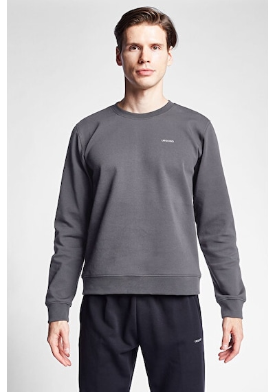 Lescon Erkek Sweatshirt 25s-1242-25b Gri