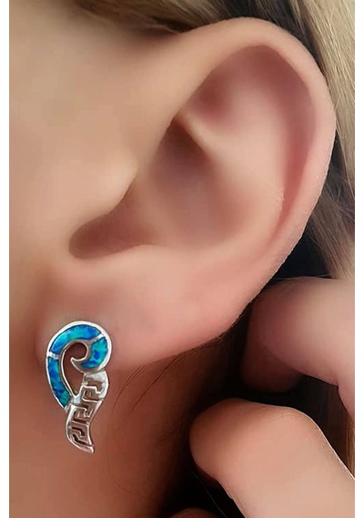 Opal Taşlı Gümüş Tasarım Küpe N11.73637