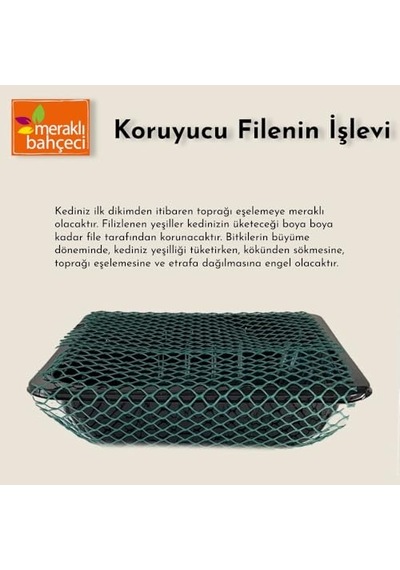 Meraklı Bahçeci Kedi Çimi - Kedi Sindirim Sistemini Rahatlatıcı Sağlıklı Kedi Otu