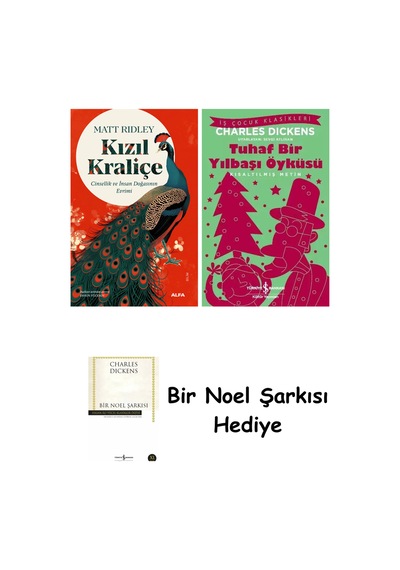 Kızıl Kraliçe + Tuhaf Bir Yılbaşı Öyküsü + Bir Noel Şarkısı