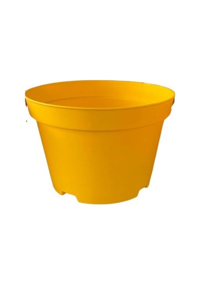 Nura Botanik Katı Plastik Sukulent Saksısı 5 Adet Sarı 8.5 Cm