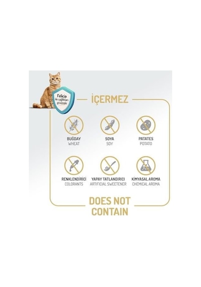 Felicia Urinary Care Sterilised Somonlu Kısırlaştırılmış Yetişkin Kedi Maması 5kg