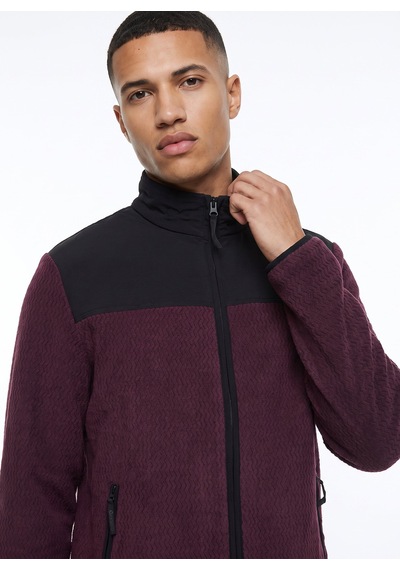 Discovery Expedition D6wm-swt3746 Mor Dik Yaka Jakarlı Erkek Polar Sweatshırt Mürdüm