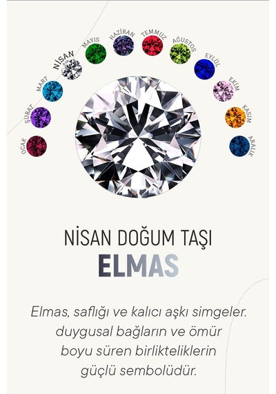 Nisan Zirkon Doğum Taşı Rose Tektaş Çivili Gümüş Küpe Gümüş