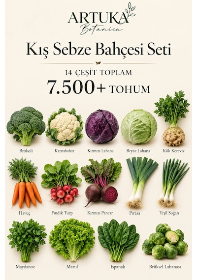Kış Sebze Bahçesi Tohum Seti 14 Çeşit 7.500+ Tohum Brokoli, Karnabahar, Kırmızı & Beyaz Lahana, Kereviz, Havuç, Fındık Turp, Pancar, Pırasa, Yeşil Soğan, Maydanoz, Marul, Ispanak, Brüksel Lahanası