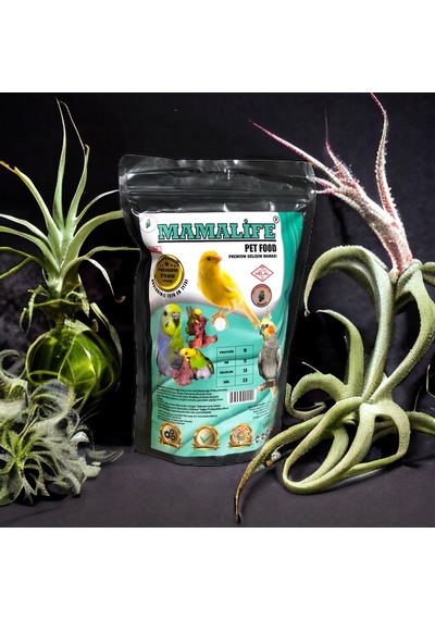 Mamalife Gelişim Maması 1 KG