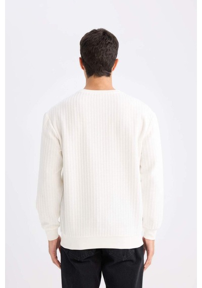 DeFacto Regular Fit Bisiklet Yaka Jakarlı Sweatshirt D5391AX24AUWT32