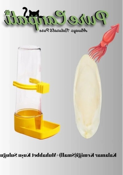 Muhabbet Kuşu Suluğu Ve Küçük Boy Kalamar Kemiği