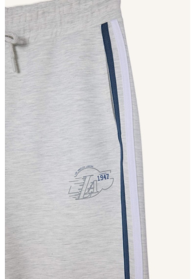 Defacto Nba Los Angeles Lakers Standart Fit Skuba Dalgıç Kumaş Jogger F6978ax26spgr421 Gri-gr421
