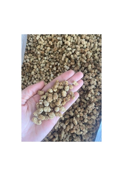Kuru Dut 250 Gram 250 G