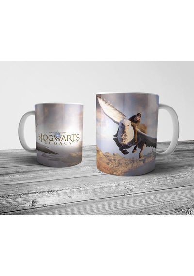 Pixxa Hogwarts Legacy Kupa Bardak Model 3