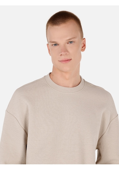 Colin's Colins Normal Kesim Bisiklet Yaka Bej Erkek Uzun Kol Tişört Cl1071043 Bej Colin's Colins Normal Kesim Bisiklet Yaka Bej Erkek Uzun Kol Tişört Cl1071043 Bej