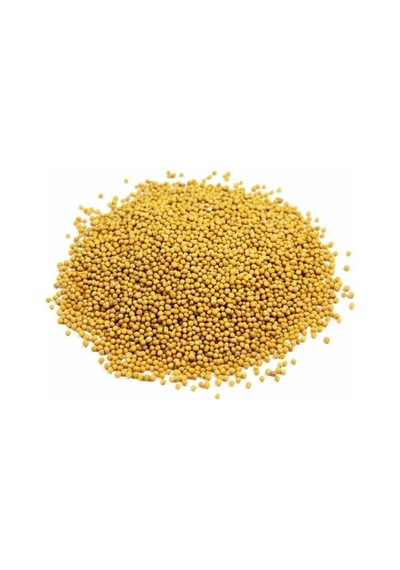 Sarı Hardal Tohumu 250 G